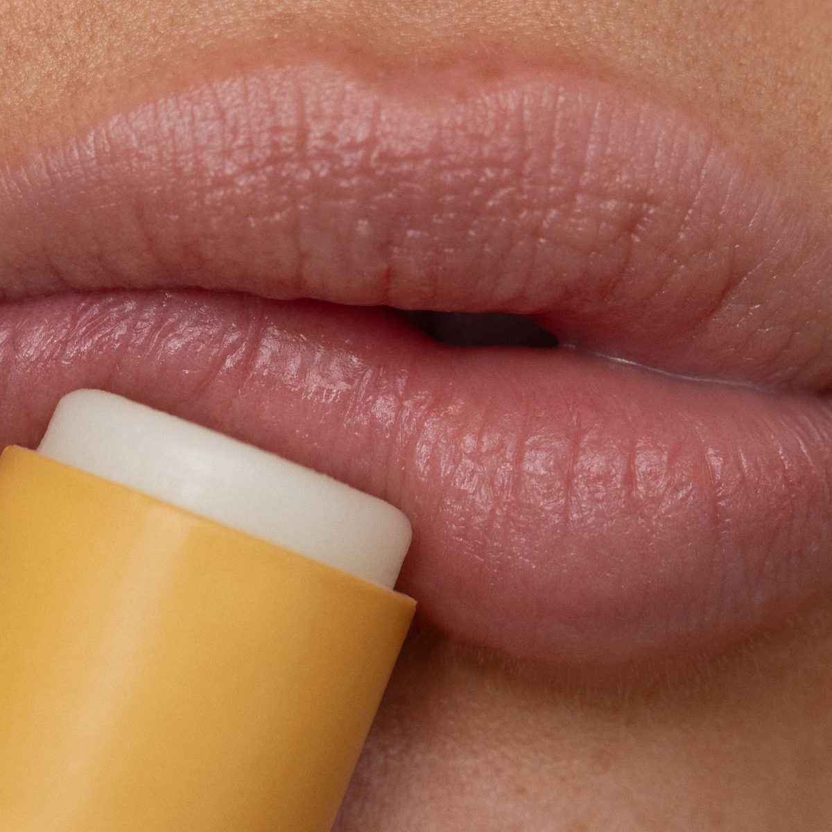 Poppy & Pout Lemon Bloom Lip Balm